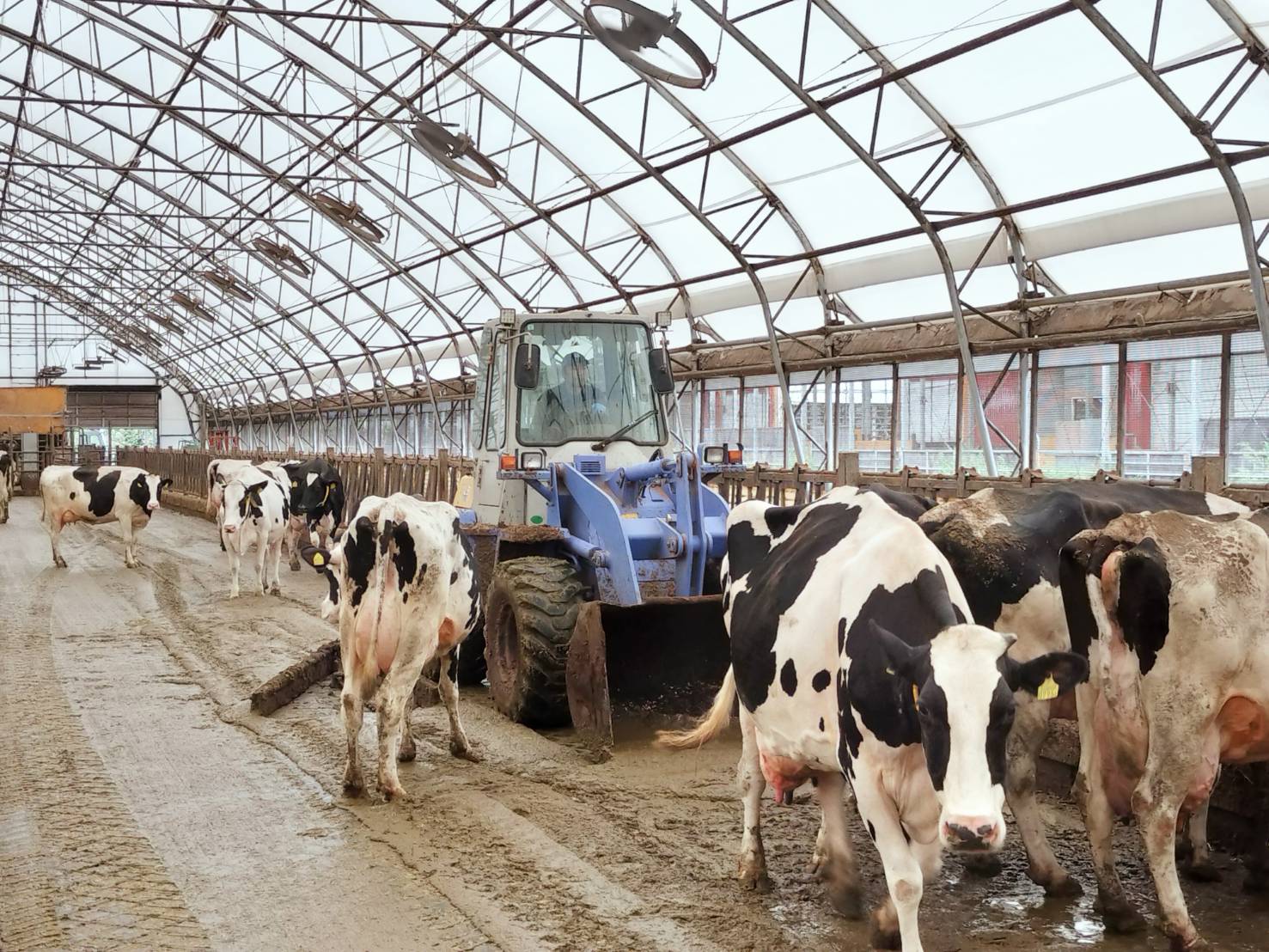舎飼